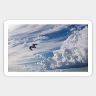 White seagull flying in bright blue sky Sticker